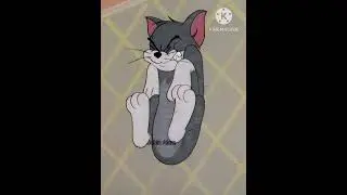 The Hawk Tuah Meme #tomandjerry #memes #shorts #trending #hawktuah #funnymemes