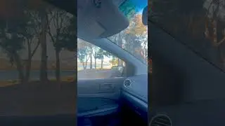 Bird Having a Quick Brawl With Its Car Mirror Reflection