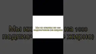 Ответы на вопросы от вас) 