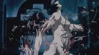 Stripped [AMV]