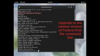 Upgrade to the Latest Version of Fedora From the Command Line