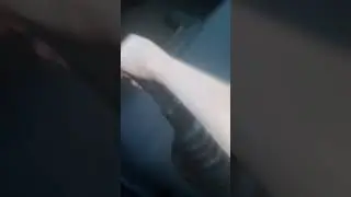 камаз