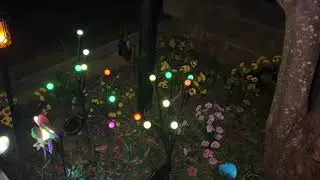 Solar Garden Light, Firefly Lights, Starburst Wind Swaying, Light swaying