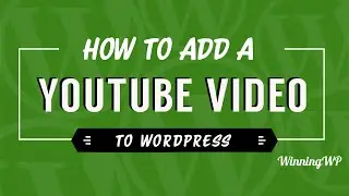 How To Embed A YouTube Video In A WordPress Post Or Page (Step by Step)