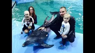 Один день из жизни Дельфинарий в Спб  представление полностью