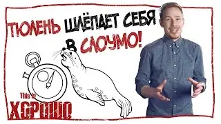 Тюлень шлёпает себя в слоумо.