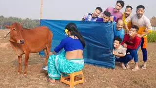 Must Watch New Special Comedy Video 2024 😎Totally Amazing Comedy Episode 253 by Busy fun ltd