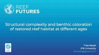 Structural complexity and benthic coloration of restored reef habitat at different ages