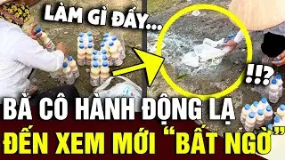 Thấy bà cô làm 'HÀNH ĐỘNG LẠ' với đóng sữa, diễn biến sau đó ai cũng 'BẤT NGỜ'I | Tin Nhanh Official
