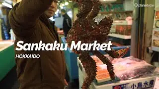 Sankaku Market,Hokkaido | Japan Travel Guide