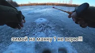 Мне дали шприц и усадили в чужую лунку...Рыбалка на мормышку и "болтушку" на реке Дон в 48 регионе!