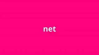 what is the meaning of net