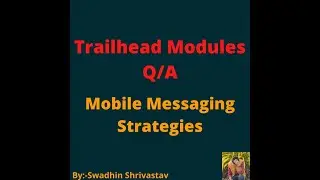 Mobile Messaging Strategies 