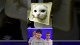 Try Not to Laugh 63
