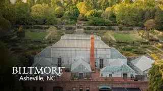 Architectural Angles: Up-close views of Biltmore's Conservatory