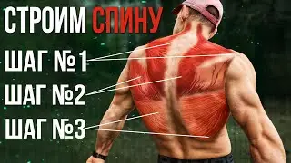 Спина по Всем Фронтам. Готовая тренировка основных сегментов мышц спины.