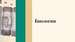 Биология - День открытых дверей онлайн