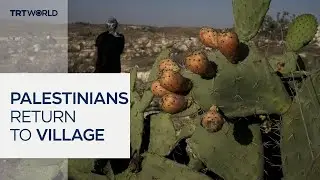 Palestinians return to destroyed village in the occupied West Bank