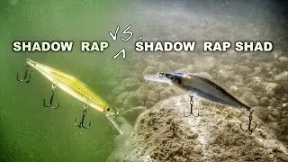 When to Fish the Rapala Shadow Rap vs. Shadow Rap Shad