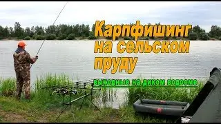 Дикий водоем. Ловля карпа.