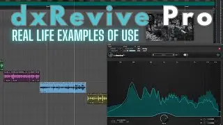 How DXREVIVE PRO helped me with DIALOGUE RESTORATION