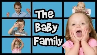 Baby Family Song | Finger Family Song | Nursery Rhymes | Adorable Babies