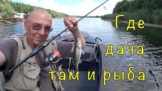 ОКУНЬ на МИКРОДЖИГ.  Тест  Crazy Fish ALPHA.