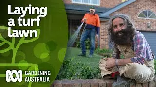 How to lay a new lawn from turf using these expert tips | DIY Garden Projects | Gardening Australia