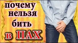 Почему нельзя бить в пах мужчин