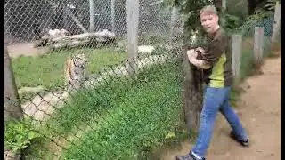 me playing with a Tiger (read the description)