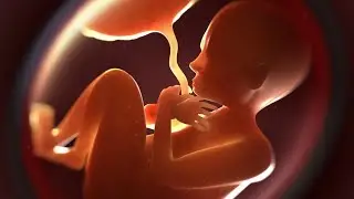 ¿Qué es el ABORTO? ¿Cuáles son sus TIPOS?