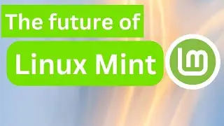 What's next for Linux Mint? - Current innovations and problems discussed