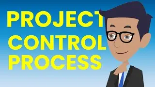 Pro Tips for Project Control Process