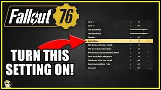 The Best Setting Configuration - Fallout 76