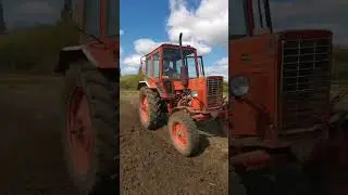 Готовим землю под посадку  #мтз80 #farming #сельскоехозяйство