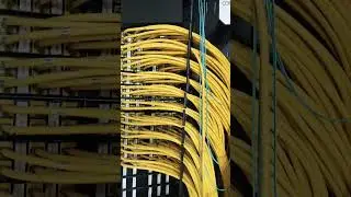 Network rack