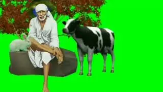 Sai Baba Green Screen Chroma Key Video 