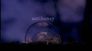 [official] antihoney Live on May 9th AM 01:00(UTC), 2021