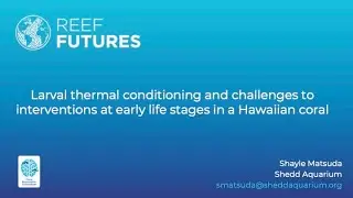 Larval thermal conditioning and challenges to interventions at early life stages in a Hawaiian coral