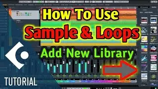 How To Use SAMPLES & LOOPS Professionally in Cubase Pro 12 Masterclass in Hindi | Wave Artist studio