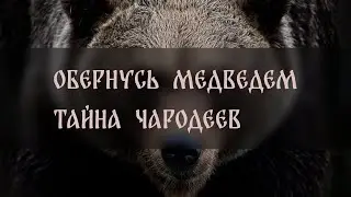 ОБЕРНУСЬ МЕДВЕДЕМ. ТАЙНА ЧАРОДЕЕВ. ДЛЯ ВСЕХ ▴ ВЕДЬМИНА ИЗБА. ИНГА ХОСРОЕВА