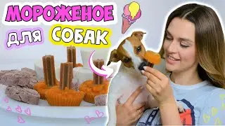 Это ВКУСНО!!! Мороженое для собак🍧| ОСВЕЖАЮЩИЕ ЗАМОРОЖЕННЫЕ ВКУСНЯШКИ  - 3 рецепта