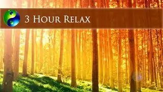 3 Hour Relaxing Music: New Age Music; Musica New Age; Relaxation Music; Gentle Music 🌅 114