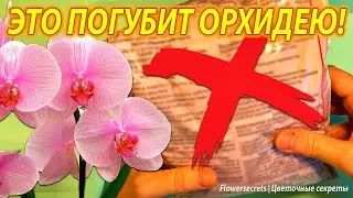 ЭТО УБИВАЕТ КОРНИ ОРХИДЕЙ, никогда не сажайте ОРХИДЕИ в такой ГРУНТ. Лучший грунт для орхидей