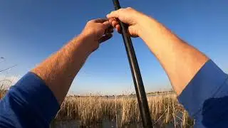 Летняя рыбалка. Ловля карася. Sommer Angeln. Karpfen fangen. Summer fishing. Carp fishing.