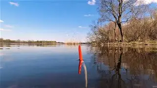 Рыбалка весной на поплавок.СЕКРЕТЫ  ЛОВЛИ / Fishing in the spring on a float. SECRETS OF CATCHING