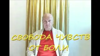 СВОБОДА ЧУВСТВ ОТ БОЛИ