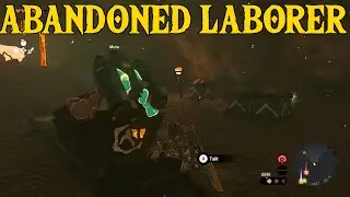 Zelda Tears of the Kingdom Playthrough - The Abandoned Laborer