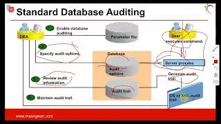 #Oracle 12c  Oracle Database Auditing | Standard Database Auditing | Oracle Database security