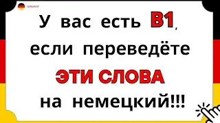 50 важных слов для разговора / УРОВЕНЬ B1 В КАРМАНЕ, ЕСЛИ СМОЖЕТЕ ИХ ПЕРЕВЕСТИ Немецкий язык с нуля